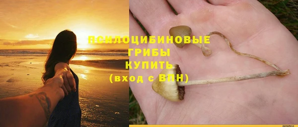 таблы Бородино